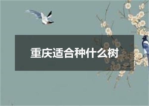 重庆适合种什么树