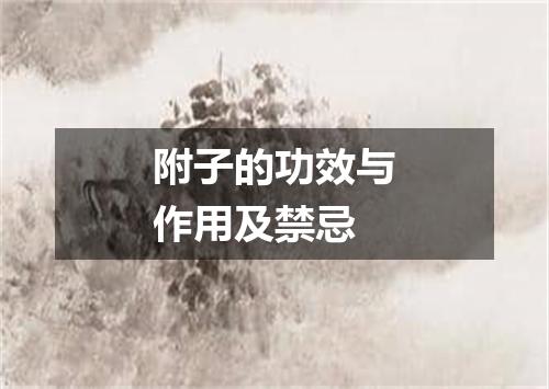 附子的功效与作用及禁忌