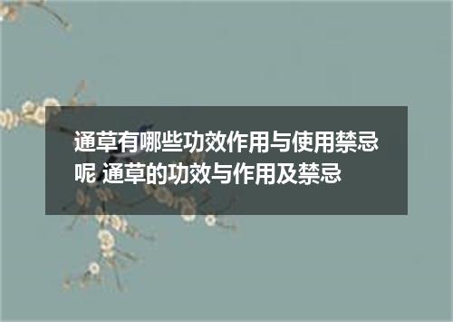 通草有哪些功效作用与使用禁忌呢 通草的功效与作用及禁忌