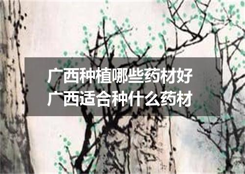 广西种植哪些药材好 广西适合种什么药材