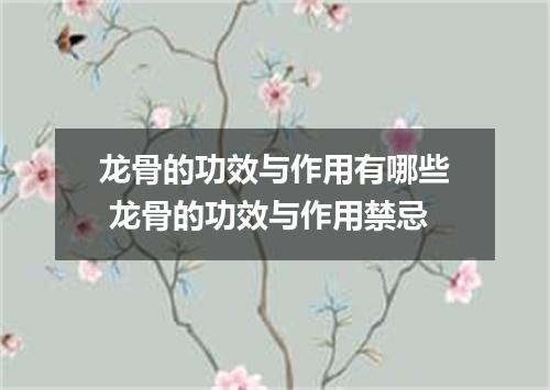 龙骨的功效与作用有哪些 龙骨的功效与作用禁忌