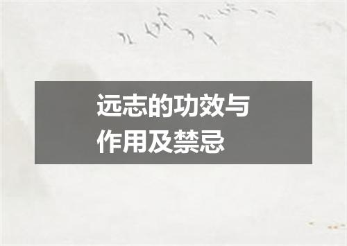 远志的功效与作用及禁忌