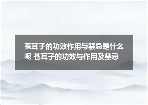 苍耳子的功效作用与禁忌是什么呢 苍耳子的功效与作用及禁忌