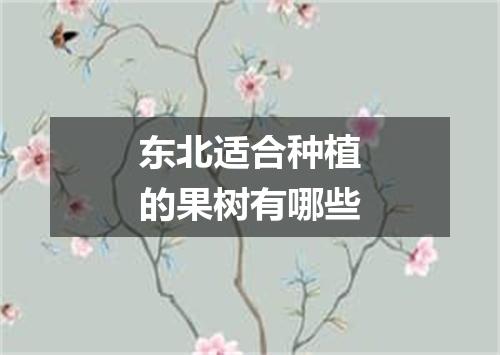 东北适合种植的果树有哪些