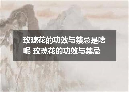 玫瑰花的功效与禁忌是啥呢 玫瑰花的功效与禁忌
