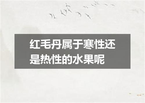 红毛丹属于寒性还是热性的水果呢