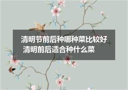 清明节前后种哪种菜比较好 清明前后适合种什么菜