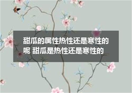 甜瓜的属性热性还是寒性的呢 甜瓜是热性还是寒性的