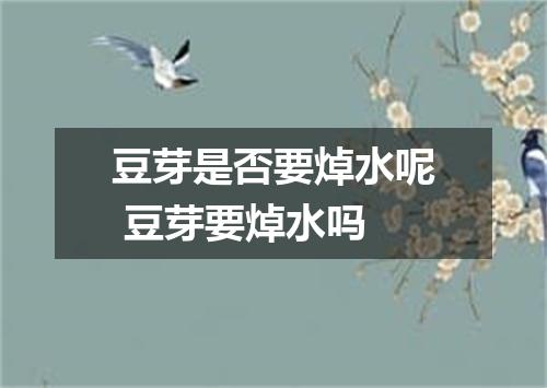 豆芽是否要焯水呢 豆芽要焯水吗