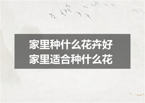 家里种什么花卉好 家里适合种什么花