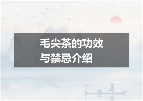毛尖茶的功效与禁忌介绍