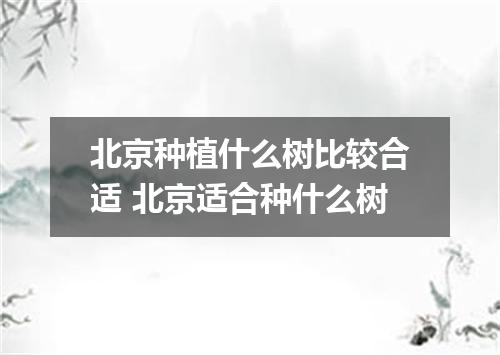 北京种植什么树比较合适 北京适合种什么树