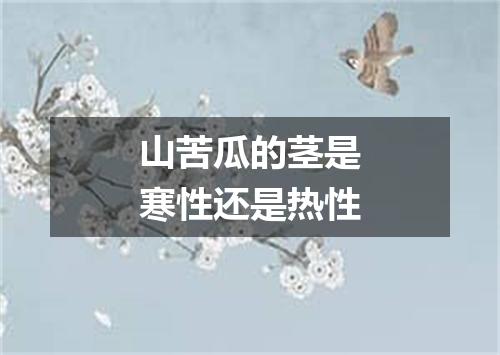 山苦瓜的茎是寒性还是热性