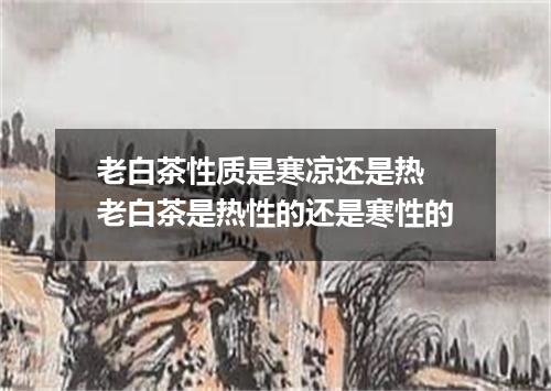 老白茶性质是寒凉还是热 老白茶是热性的还是寒性的