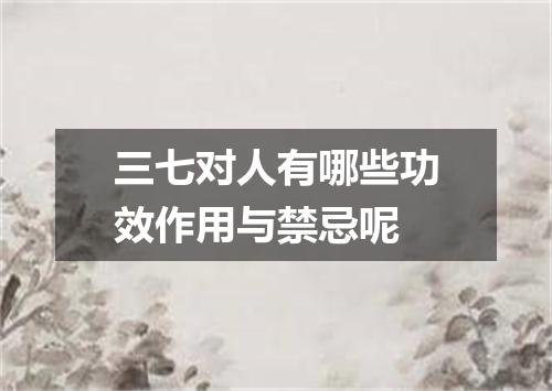 三七对人有哪些功效作用与禁忌呢