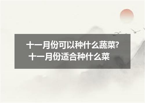 十一月份可以种什么蔬菜? 十一月份适合种什么菜
