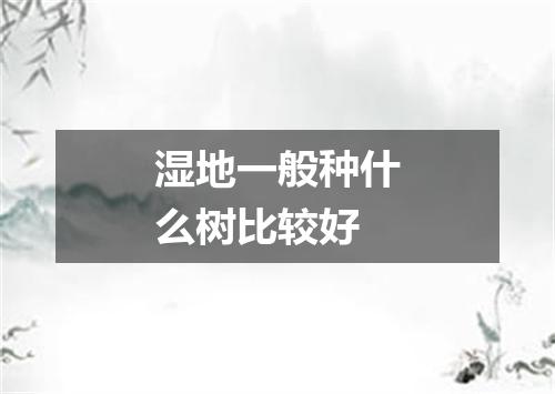湿地一般种什么树比较好