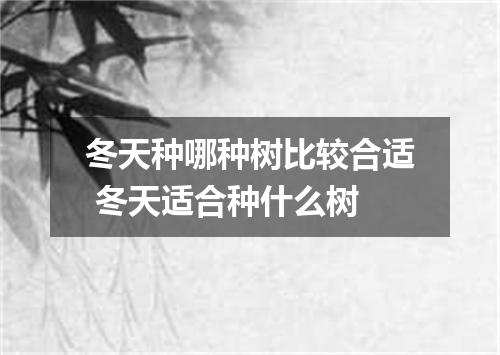 冬天种哪种树比较合适 冬天适合种什么树