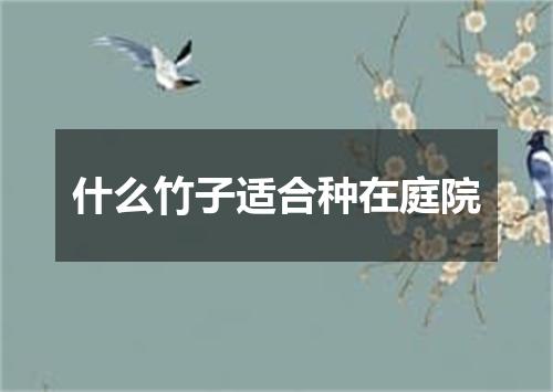 什么竹子适合种在庭院