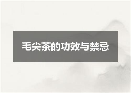 毛尖茶的功效与禁忌