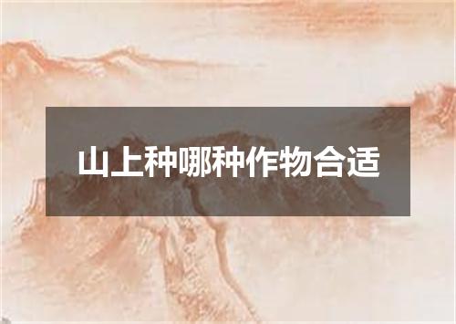 山上种哪种作物合适