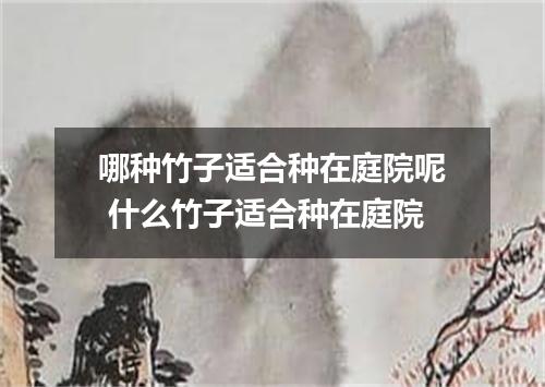 哪种竹子适合种在庭院呢 什么竹子适合种在庭院