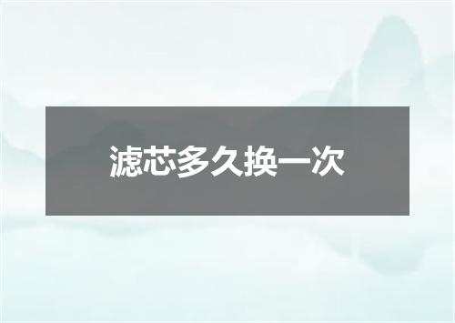 滤芯多久换一次