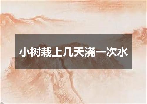 小树栽上几天浇一次水