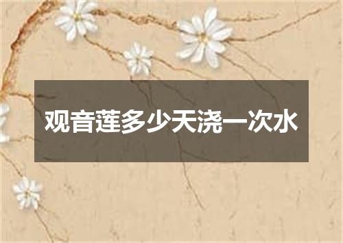 观音莲多少天浇一次水