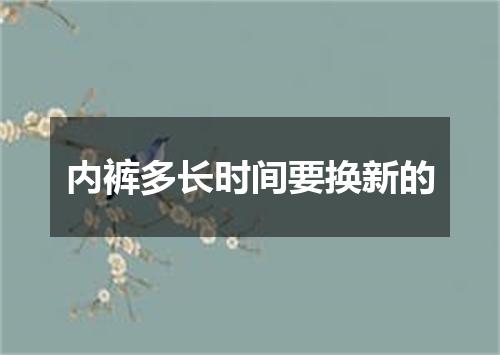 内裤多长时间要换新的