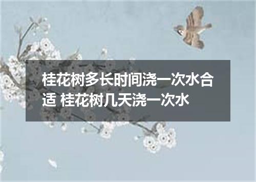 桂花树多长时间浇一次水合适 桂花树几天浇一次水