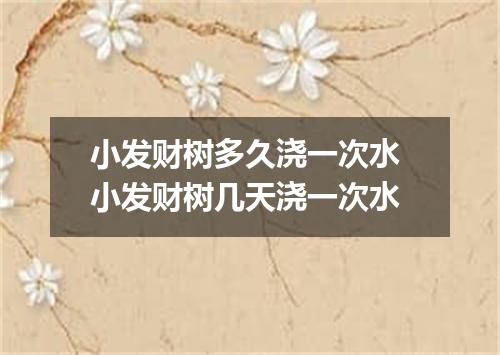 小发财树多久浇一次水 小发财树几天浇一次水