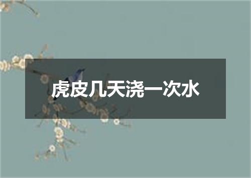 虎皮几天浇一次水