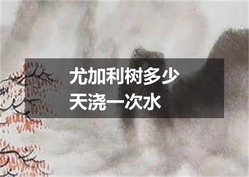 尤加利树多少天浇一次水