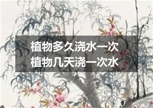 植物多久浇水一次 植物几天浇一次水
