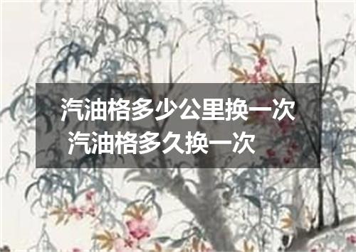 汽油格多少公里换一次 汽油格多久换一次