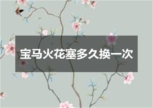 宝马火花塞多久换一次