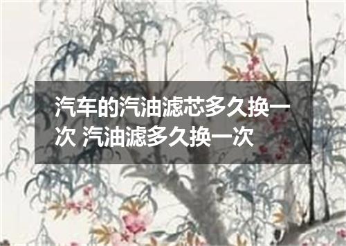 汽车的汽油滤芯多久换一次 汽油滤多久换一次