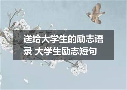 送给大学生的励志语录 大学生励志短句