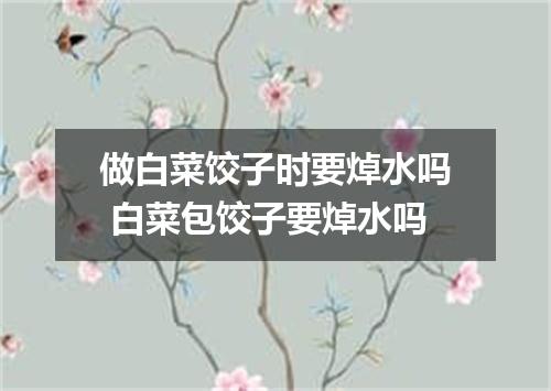 做白菜饺子时要焯水吗 白菜包饺子要焯水吗