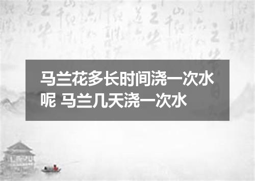 马兰花多长时间浇一次水呢 马兰几天浇一次水