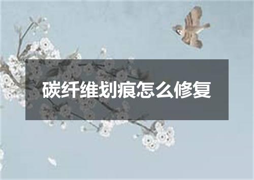 碳纤维划痕怎么修复