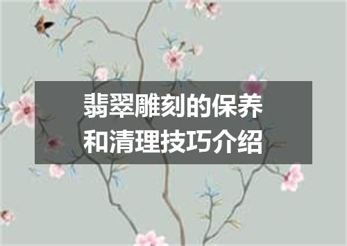 翡翠雕刻的保养和清理技巧介绍