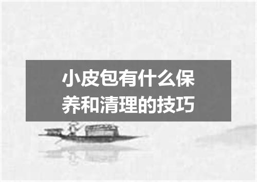 小皮包有什么保养和清理的技巧