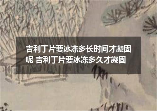 吉利丁片要冰冻多长时间才凝固呢 吉利丁片要冰冻多久才凝固
