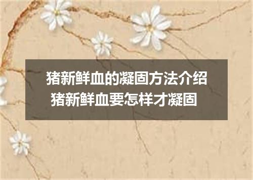 猪新鲜血的凝固方法介绍 猪新鲜血要怎样才凝固