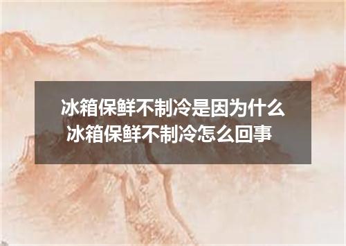 冰箱保鲜不制冷是因为什么 冰箱保鲜不制冷怎么回事