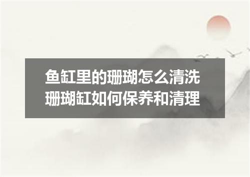 鱼缸里的珊瑚怎么清洗 珊瑚缸如何保养和清理