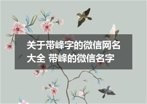 关于带峰字的微信网名大全 带峰的微信名字