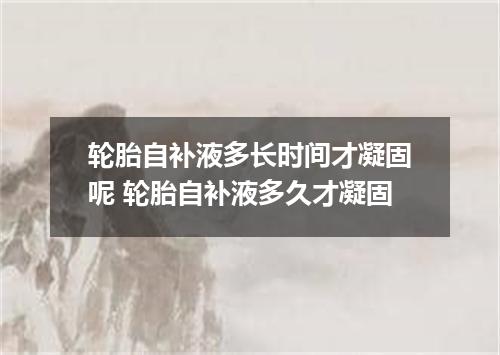 轮胎自补液多长时间才凝固呢 轮胎自补液多久才凝固